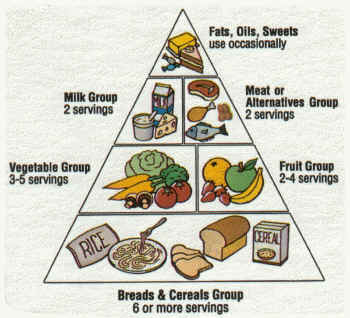 food-pyramid food-pyramid